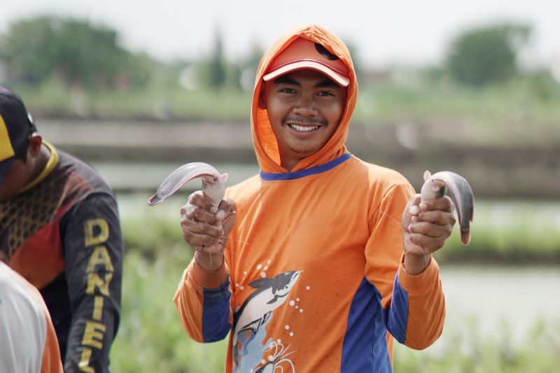 Gambar sampul PASANG SURUT SEMANGAT PENYULUH PERIKANAN BANTU