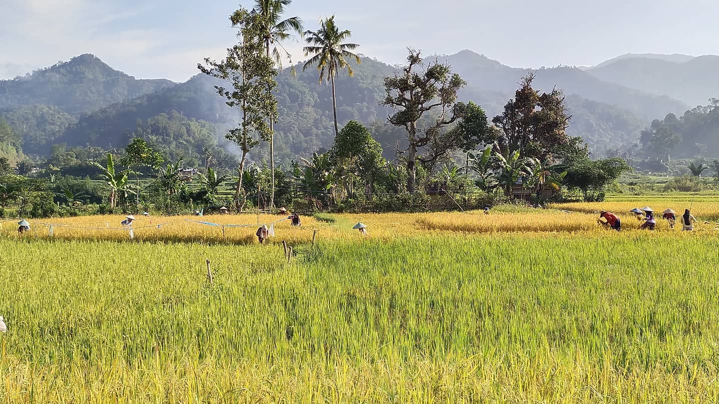 Gambar sampul Satu Data Indonesia Itu Berat