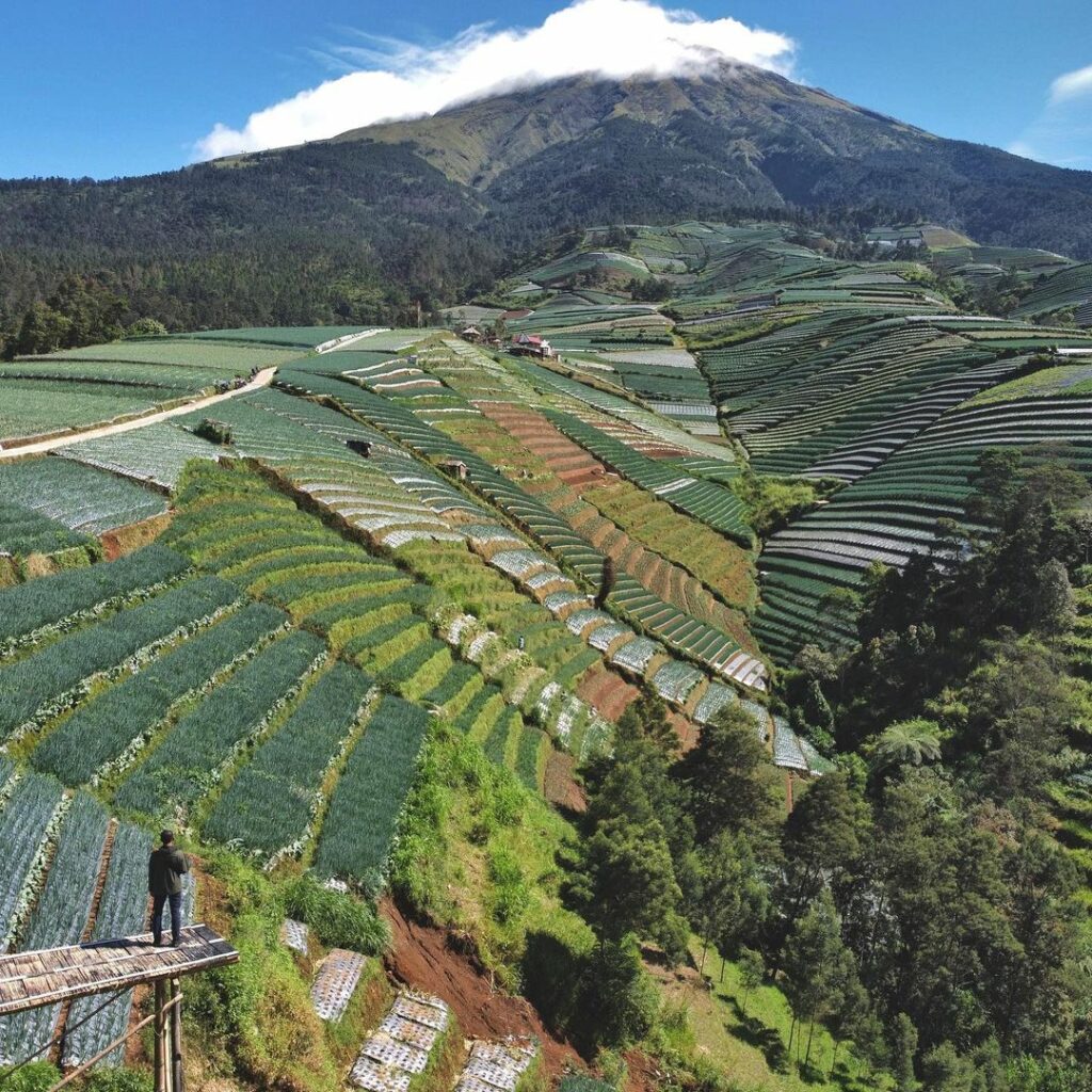 Desa Sukomakmur: Menikmati Keindahan Desa di Lereng Gunung Desa Sukomakmur: Menikmati Keindahan Desa di Lereng Gunung