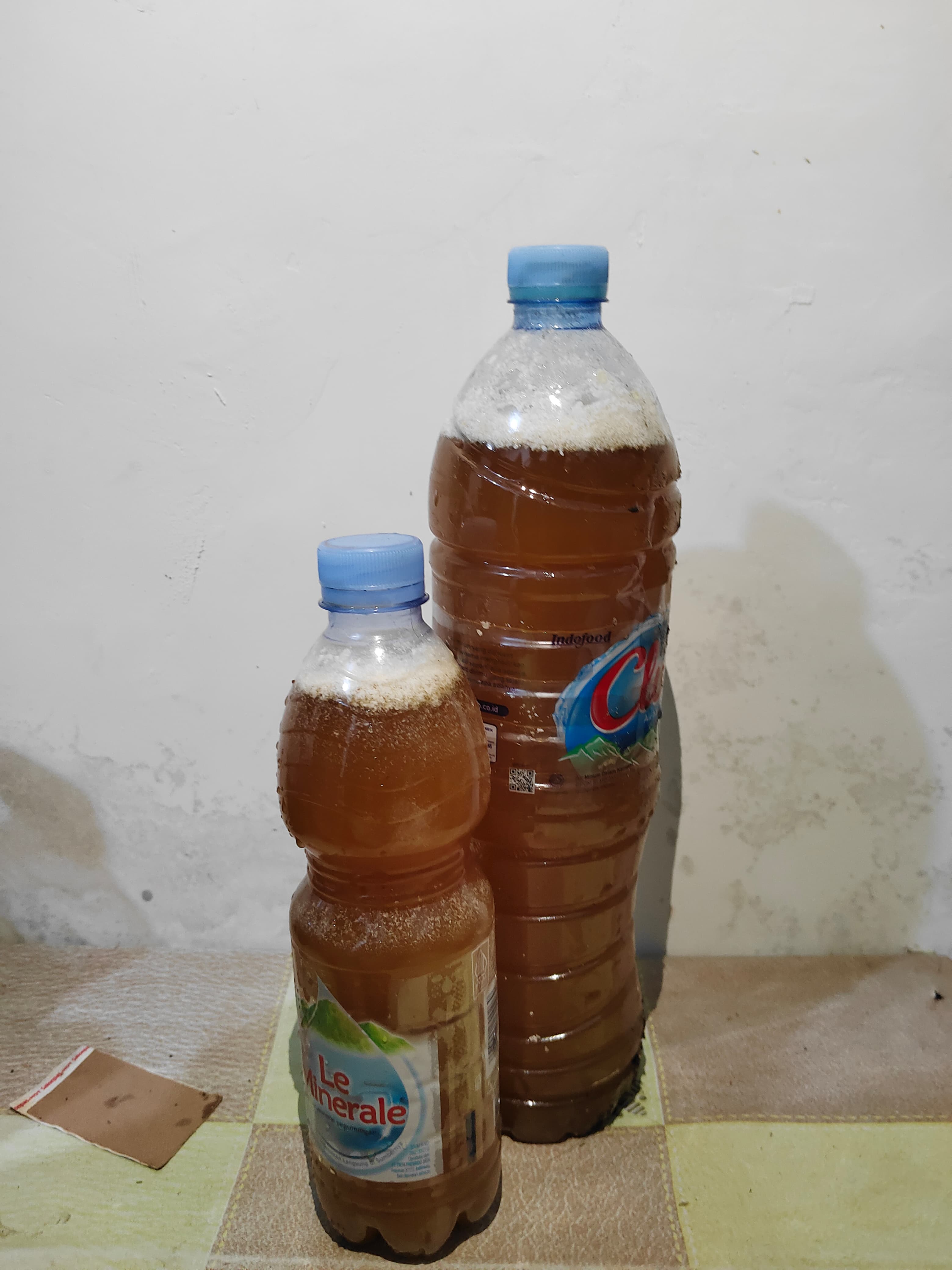 Menyulap Limbah Jadi POC di Desa Wonomulyo, Solusi Ekonomis yang Eco ...