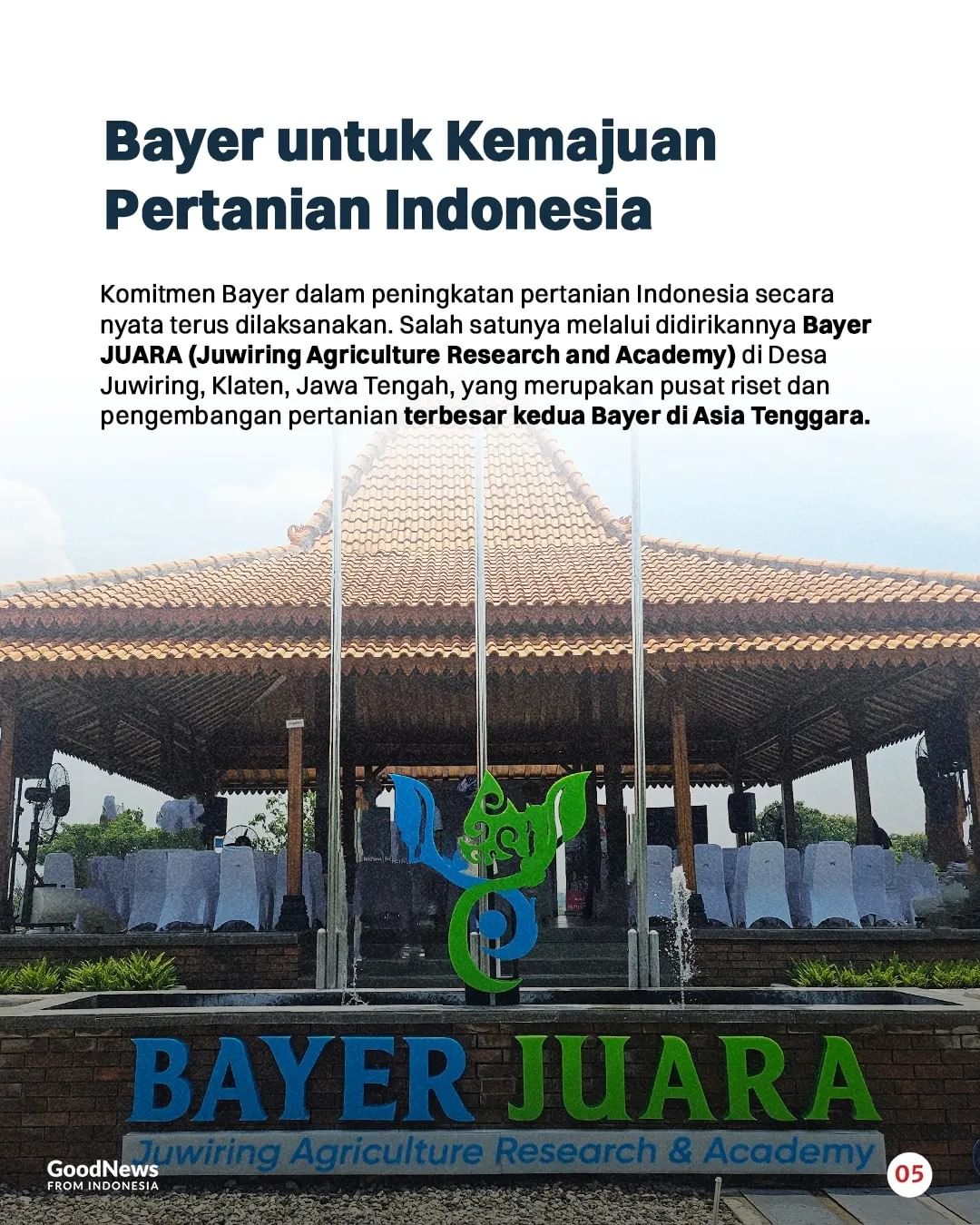 Peluang karier pertanian organik untuk generasi muda 2025