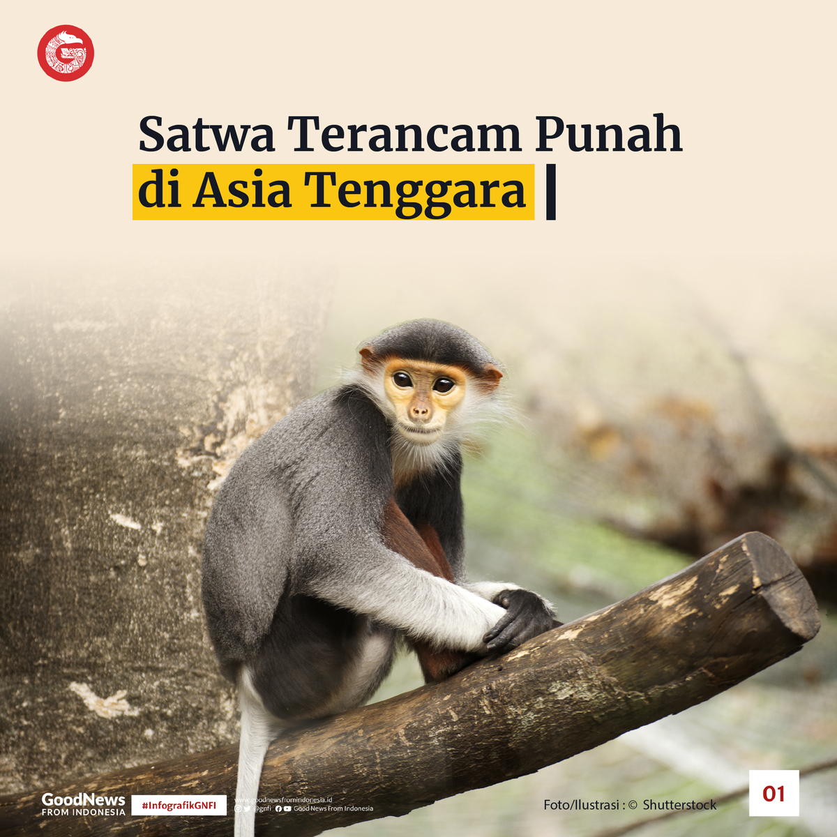 Satwa Terancam Punah di Asia Tenggara