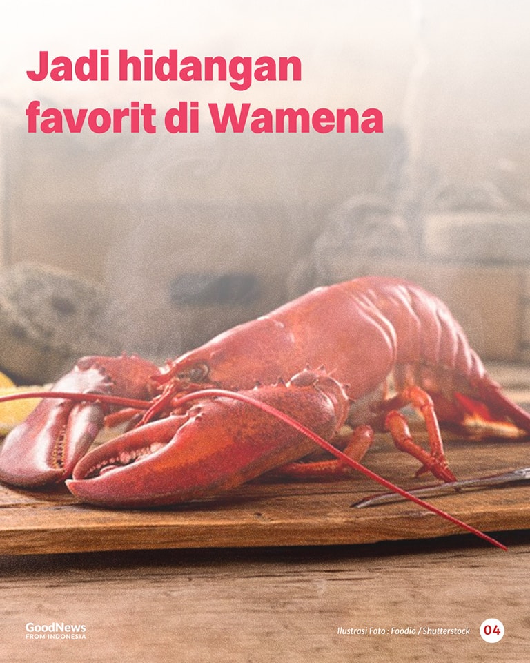 Udang Selingkuh, Lobster Unik Nan Lezat dari Perairan Papua
