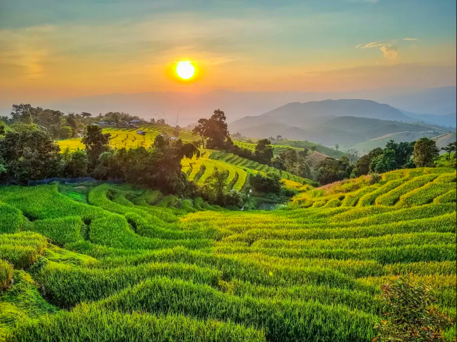 Pa Pong Piang Rice Terraces, Chiang Mai, Thailand | Photo source: www.thailande-et-asie.com