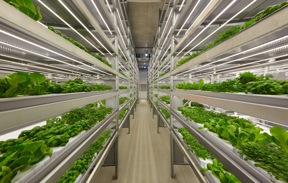 Vertical agricultural hydroponics.