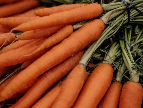 Orange carrots in a close photo.