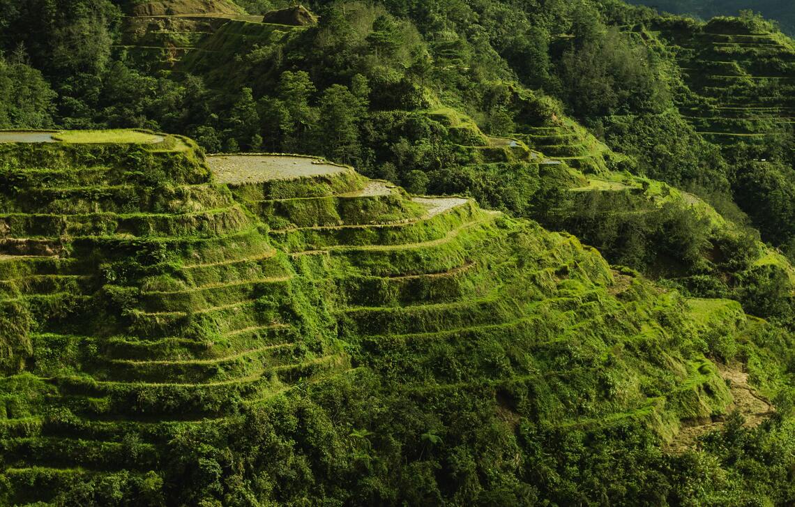 A picturesque photo of Banaue during the day.