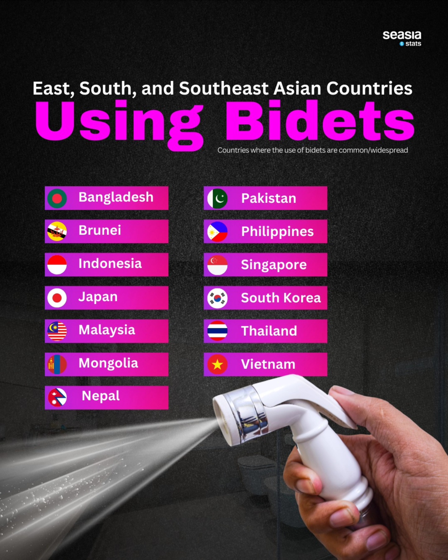 East, South, and Southeast Asian Countries Using Bidets