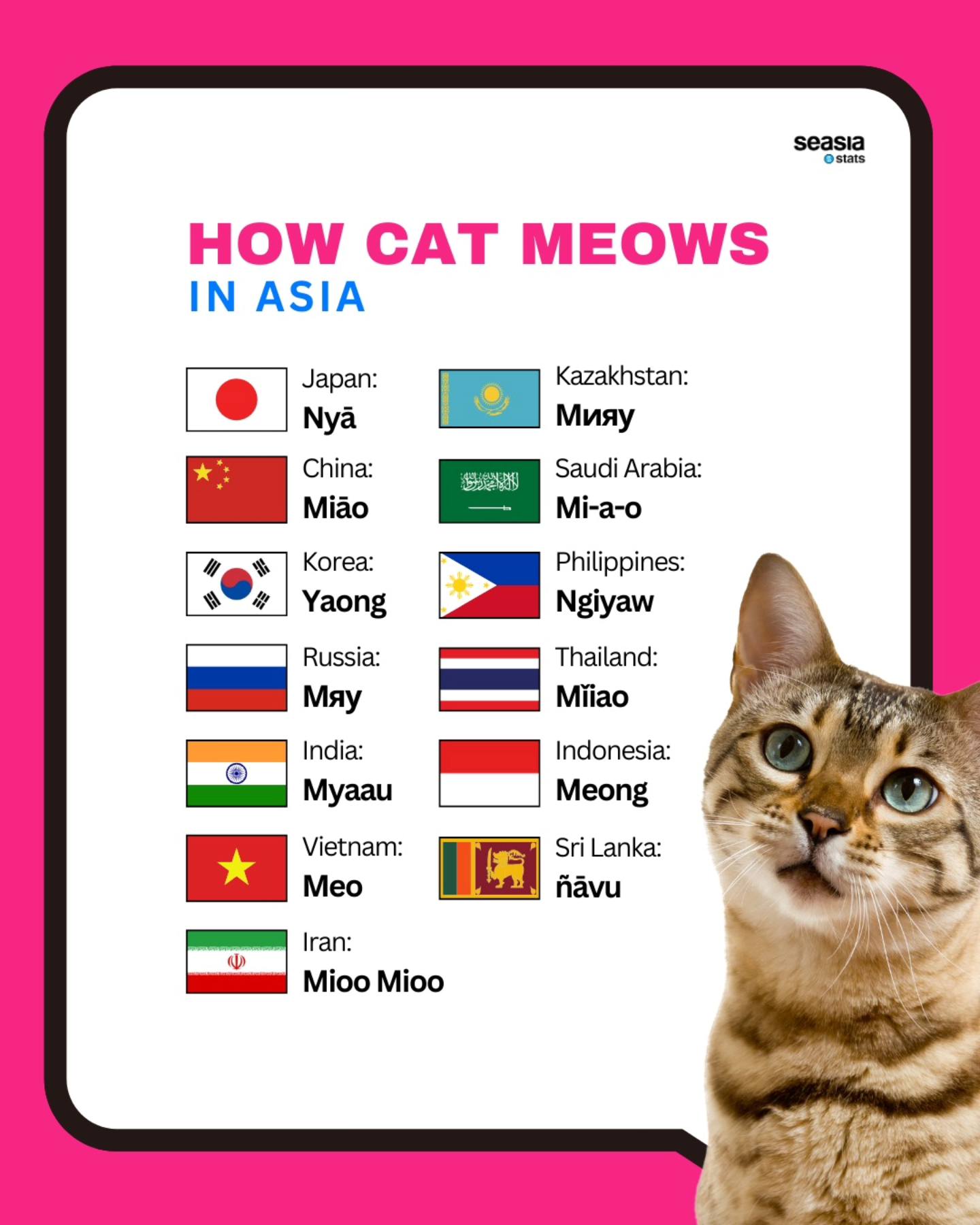 How Cat Meows in Asia