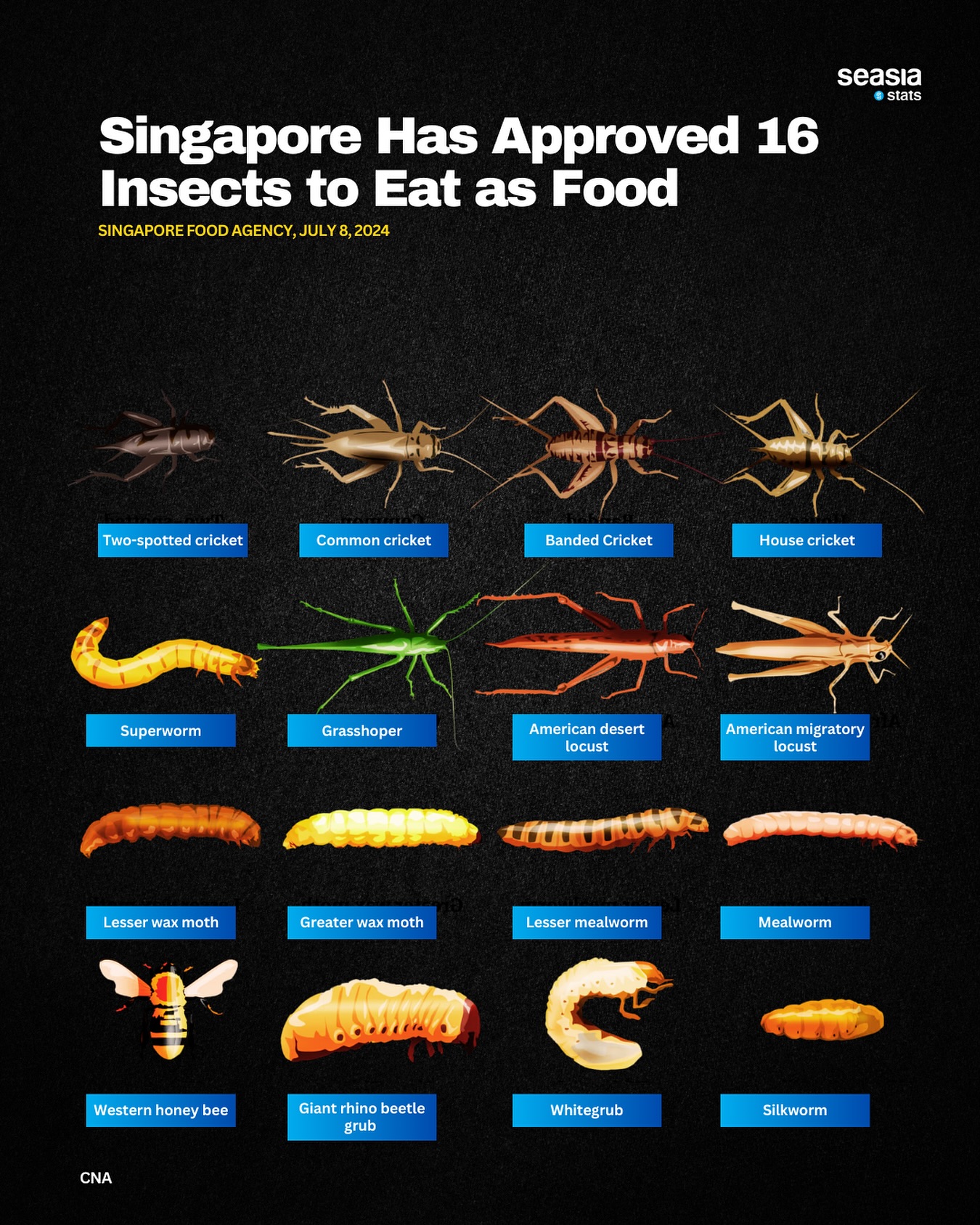 Singapore Has Approved 16 Insects to Eat as Food