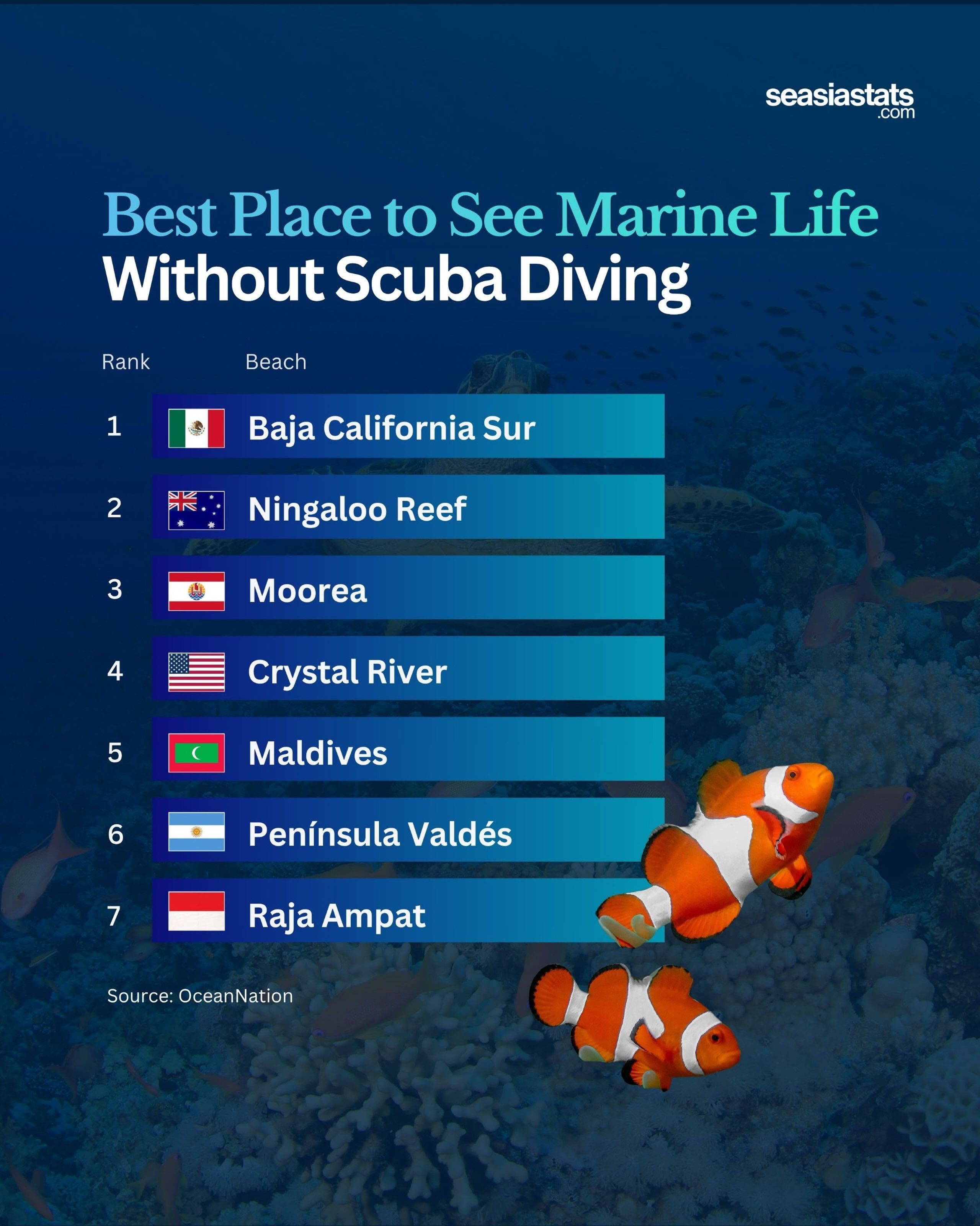 The Best Spots to See Marine Life without Scuba Gear