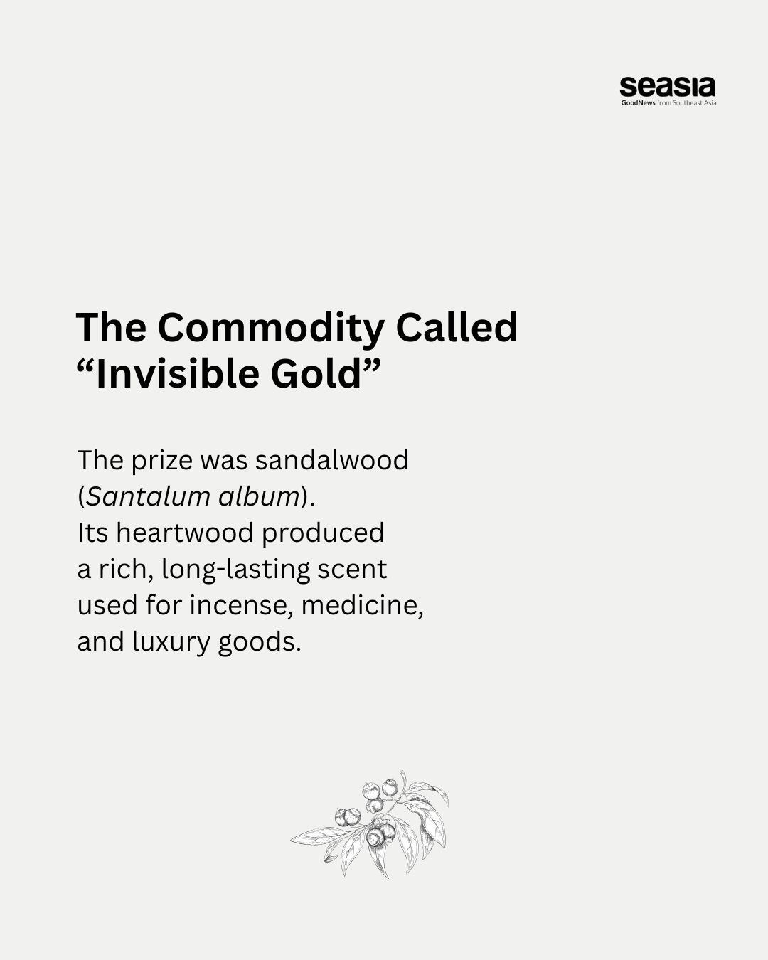 The Scent That Redrew the Map: How sandalwood turned Timor-Leste into  a global battleground