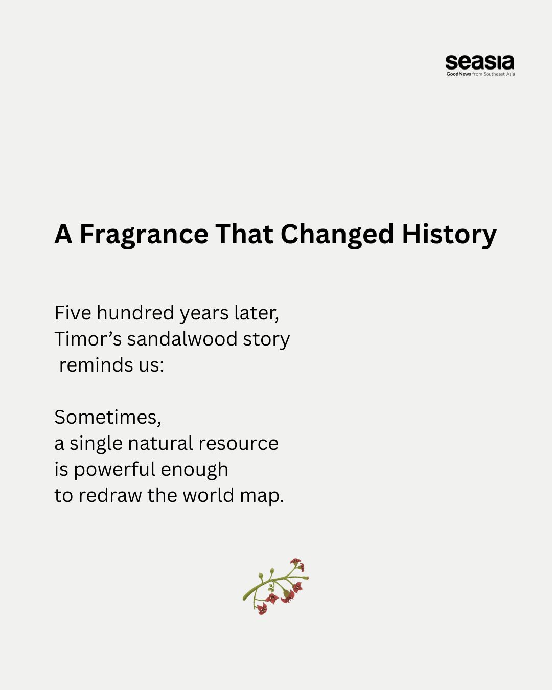 The Scent That Redrew the Map: How sandalwood turned Timor-Leste into  a global battleground