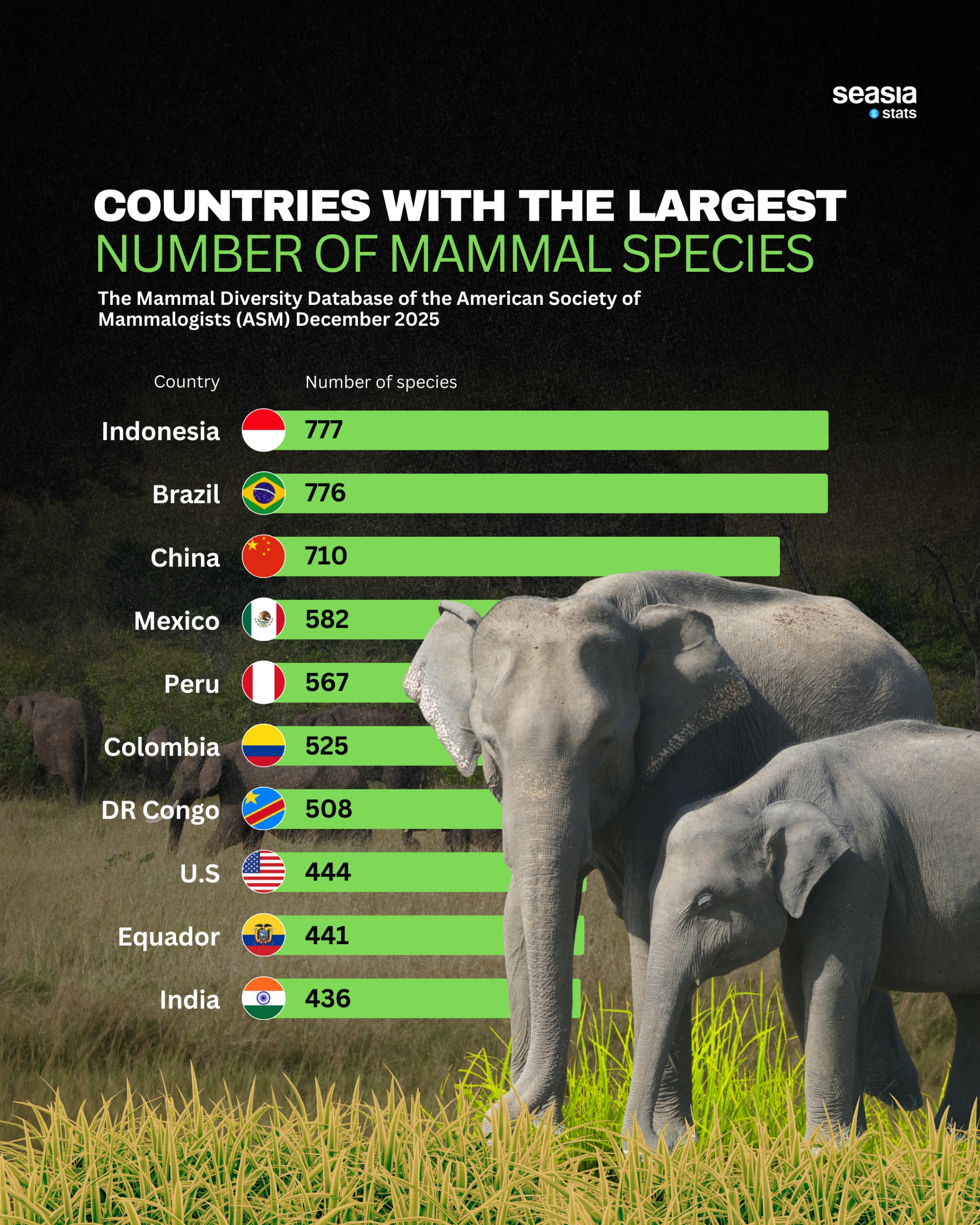 Where the Wild Things Are: Mammal Diversity Across the Globe