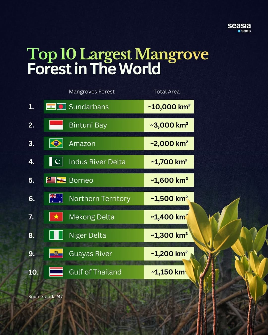World's 10 Largest Mangrove Forests
